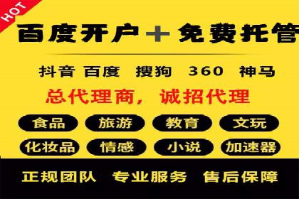 竞价广告投放技巧与案例分析